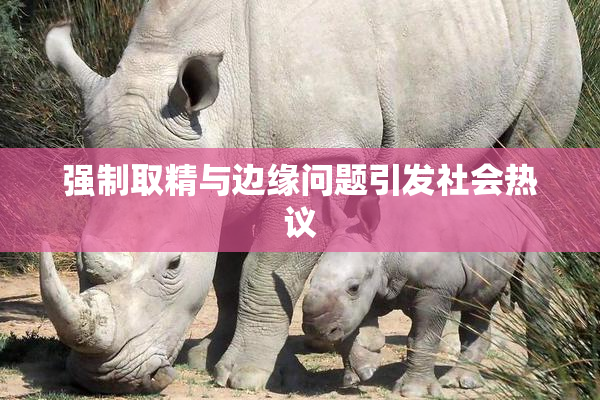 强制取精与边缘问题引发社会热议