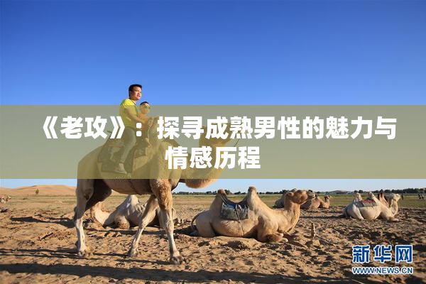 《老攻》：探寻成熟男性的魅力与情感历程