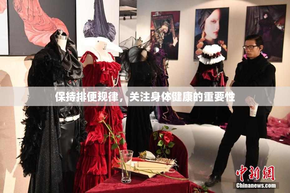 保持排便规律，关注身体健康的重要性