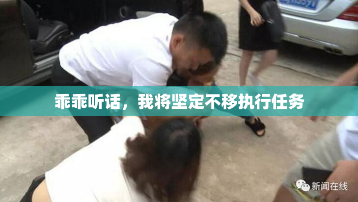 乖乖听话，我将坚定不移执行任务