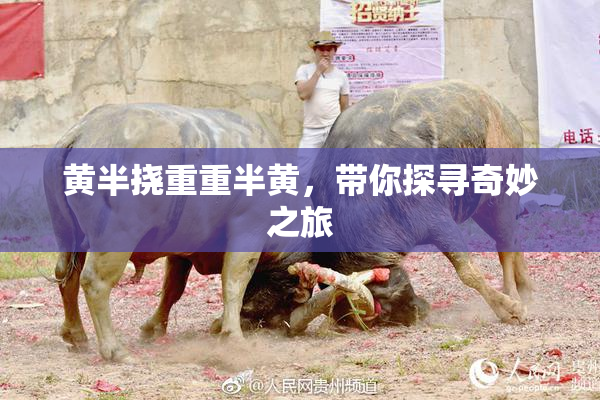 黄半挠重重半黄，带你探寻奇妙之旅