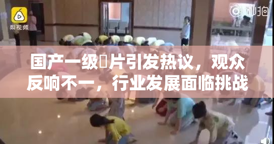 国产一级婬片引发热议，观众反响不一，行业发展面临挑战