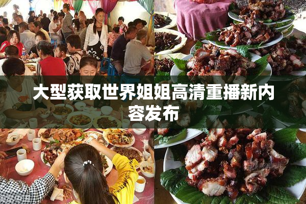 大型获取世界姐姐高清重播新内容发布