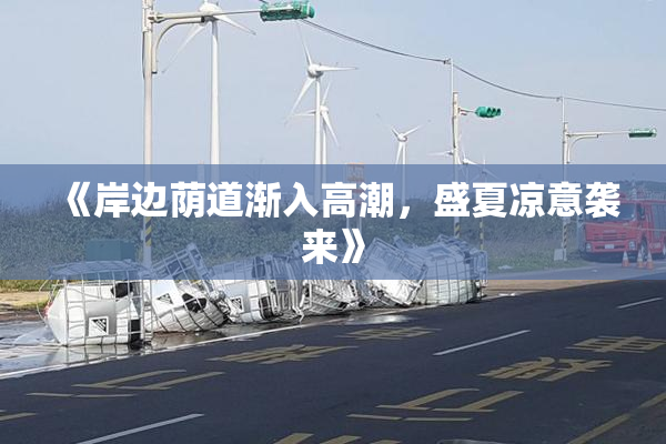 《岸边荫道渐入高潮，盛夏凉意袭来》