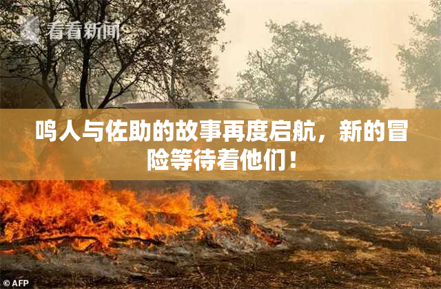 鸣人与佐助的故事再度启航，新的冒险等待着他们！