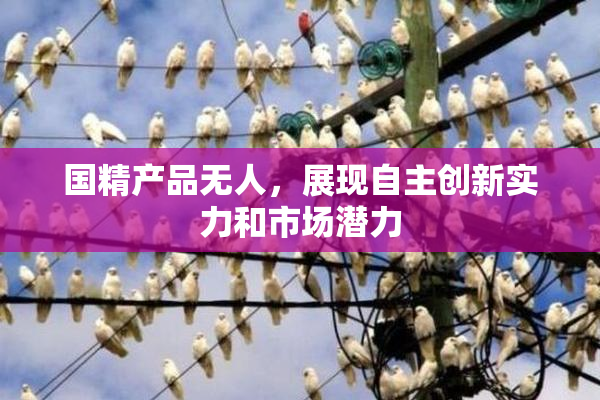 国精产品无人，展现自主创新实力和市场潜力