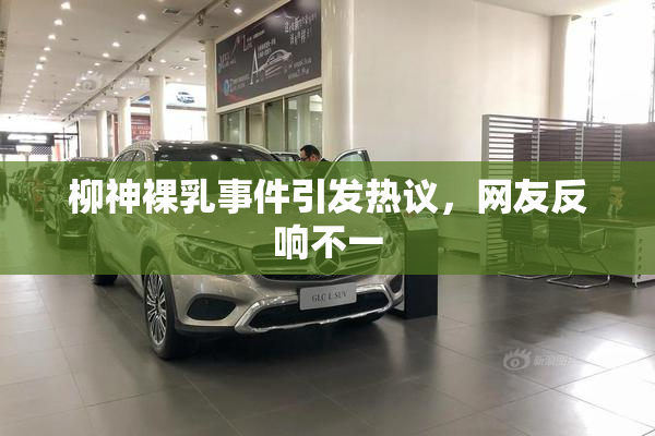 柳神裸乳事件引发热议，网友反响不一