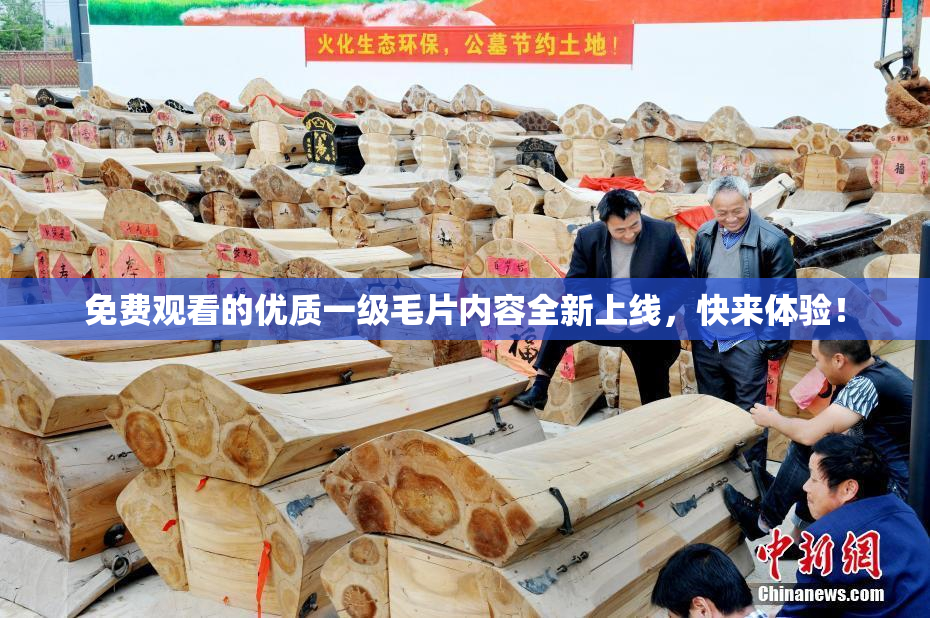 免费观看的优质一级毛片内容全新上线，快来体验！