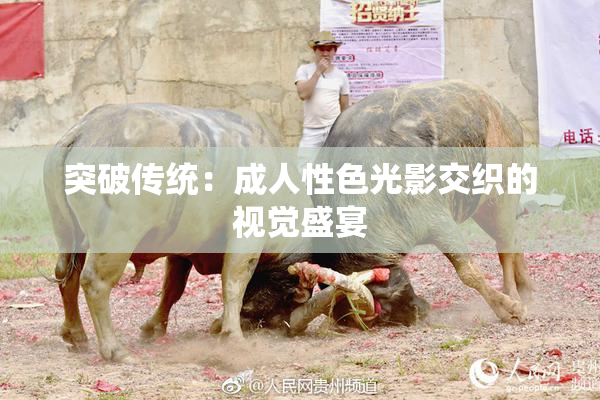 突破传统：成人性色光影交织的视觉盛宴