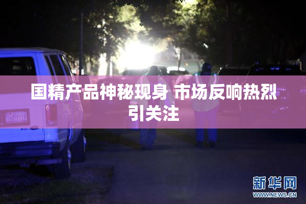 国精产品神秘现身 市场反响热烈引关注