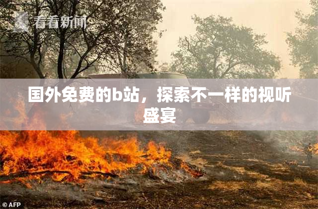 国外免费的b站，探索不一样的视听盛宴