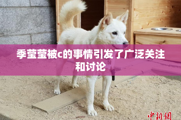季莹莹被c的事情引发了广泛关注和讨论