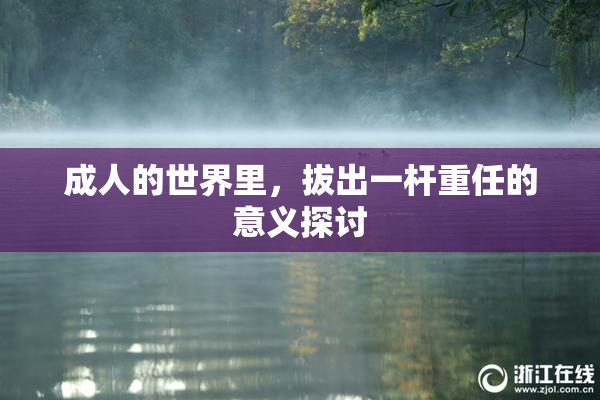 成人的世界里，拔出一杆重任的意义探讨