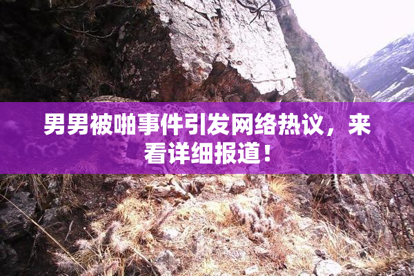 男男被啪事件引发网络热议，来看详细报道！