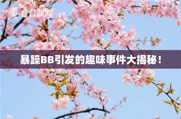 暴躁BB引发的趣味事件大揭秘！