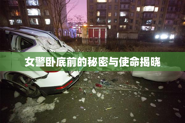 女警卧底前的秘密与使命揭晓