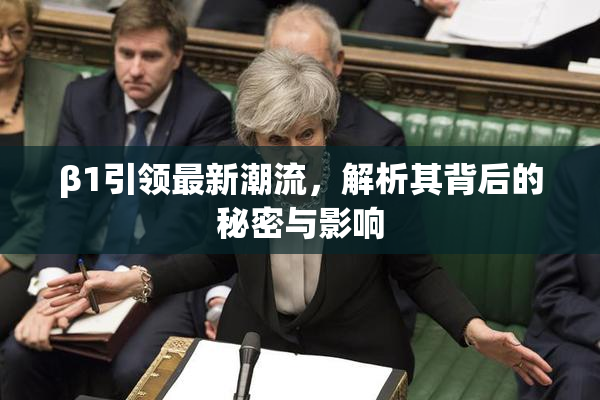 β1引领最新潮流，解析其背后的秘密与影响
