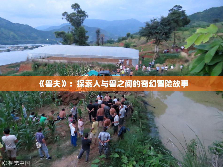 《兽夫》：探索人与兽之间的奇幻冒险故事