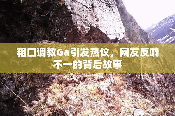 粗口调教Ga引发热议，网友反响不一的背后故事