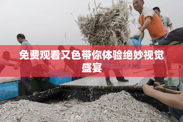 免费观看又色带你体验绝妙视觉盛宴