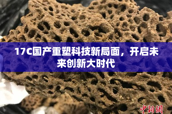 17C国产重塑科技新局面，开启未来创新大时代