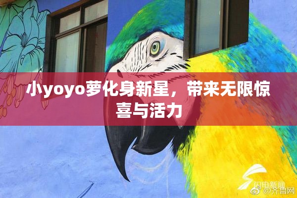 小yoyo萝化身新星，带来无限惊喜与活力