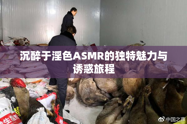 沉醉于淫色ASMR的独特魅力与诱惑旅程