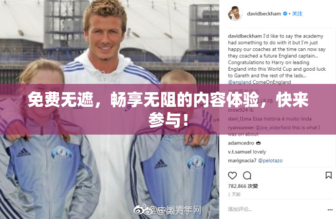 免费无遮，畅享无阻的内容体验，快来参与！