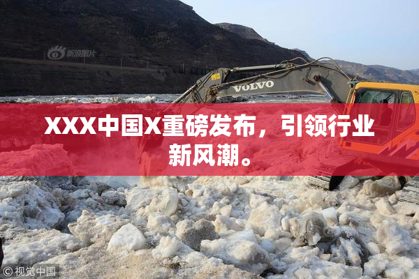 XXX中国X重磅发布，引领行业新风潮。
