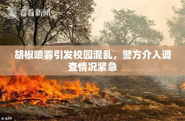 胡椒喷雾引发校园混乱，警方介入调查情况紧急