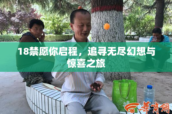 18禁愿你启程，追寻无尽幻想与惊喜之旅