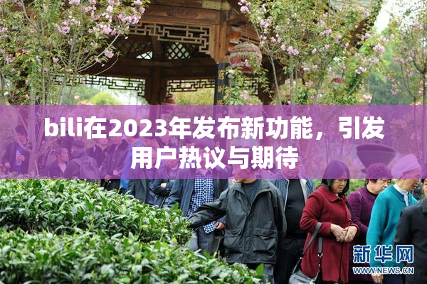 bili在2023年发布新功能，引发用户热议与期待