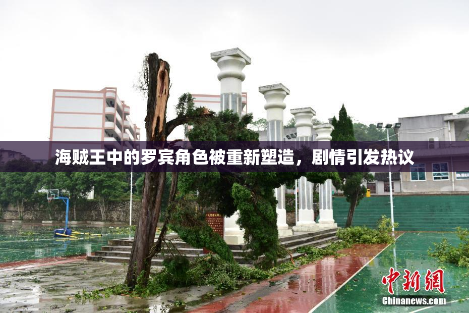 海贼王中的罗宾角色被重新塑造，剧情引发热议