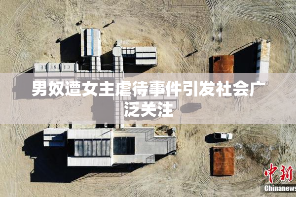 男奴遭女主虐待事件引发社会广泛关注