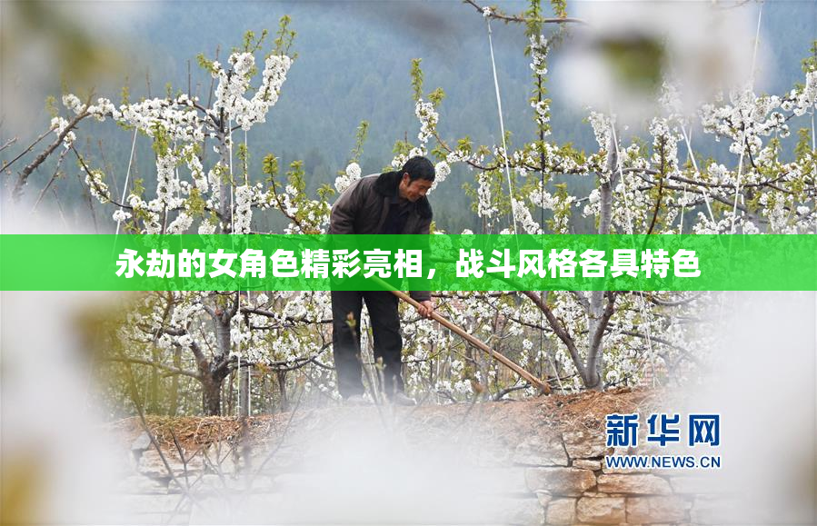永劫的女角色精彩亮相，战斗风格各具特色
