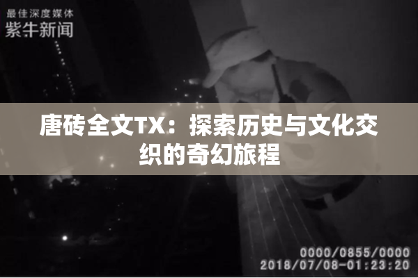 唐砖全文TX：探索历史与文化交织的奇幻旅程