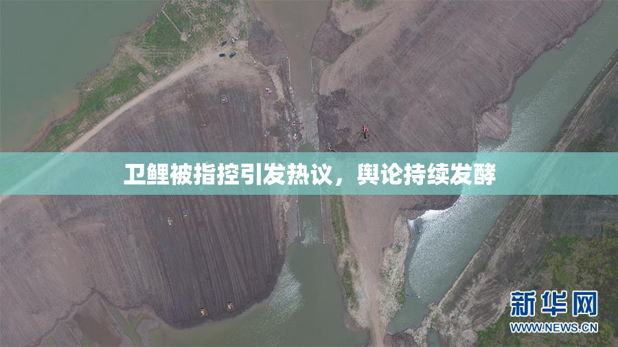 卫鲤被指控引发热议，舆论持续发酵