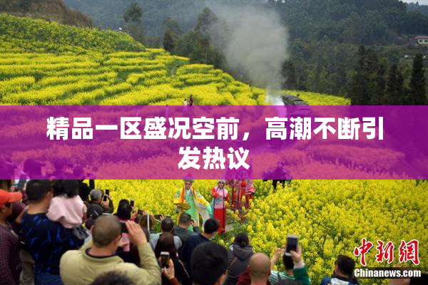 精品一区盛况空前，高潮不断引发热议