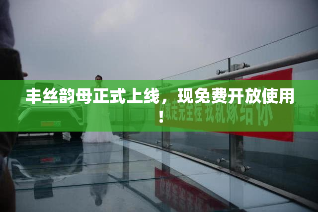 丰丝韵母正式上线，现免费开放使用！