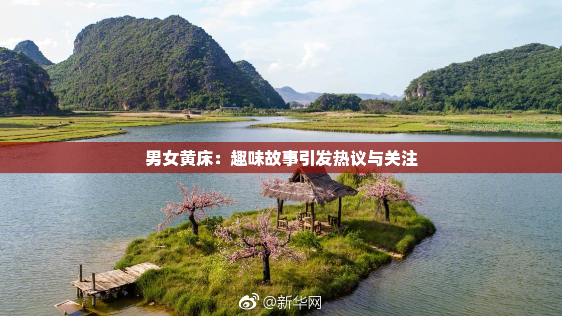 男女黄床：趣味故事引发热议与关注