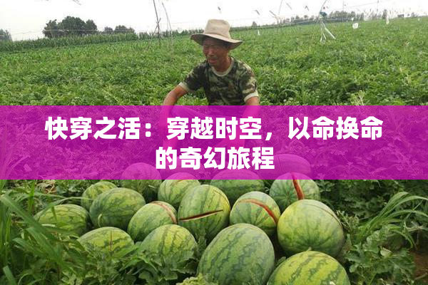快穿之活：穿越时空，以命换命的奇幻旅程