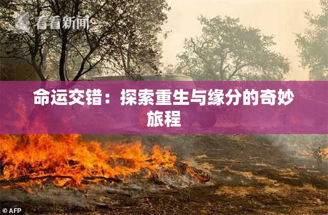 命运交错：探索重生与缘分的奇妙旅程