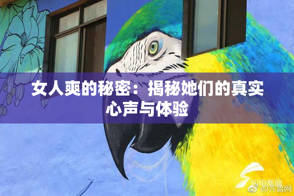 女人爽的秘密：揭秘她们的真实心声与体验