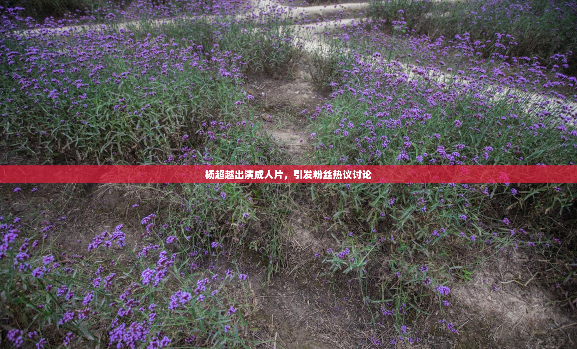杨超越出演成人片，引发粉丝热议讨论
