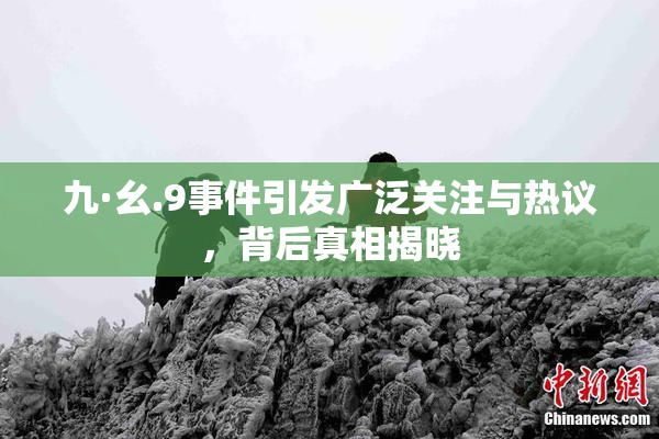 九·幺.9事件引发广泛关注与热议，背后真相揭晓