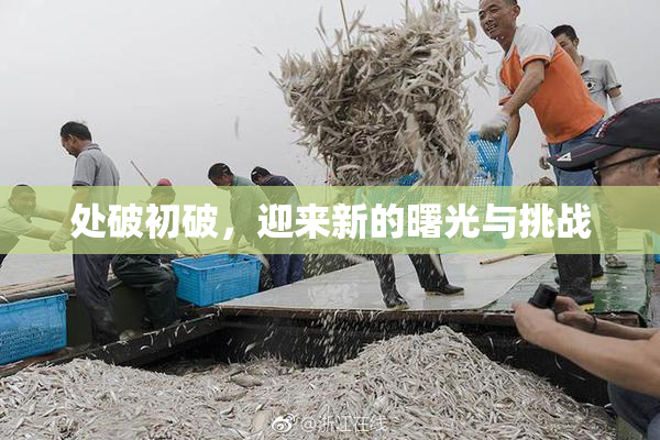 处破初破，迎来新的曙光与挑战