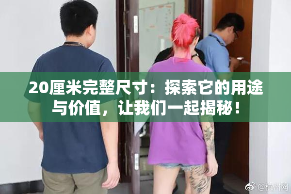 20厘米完整尺寸：探索它的用途与价值，让我们一起揭秘！