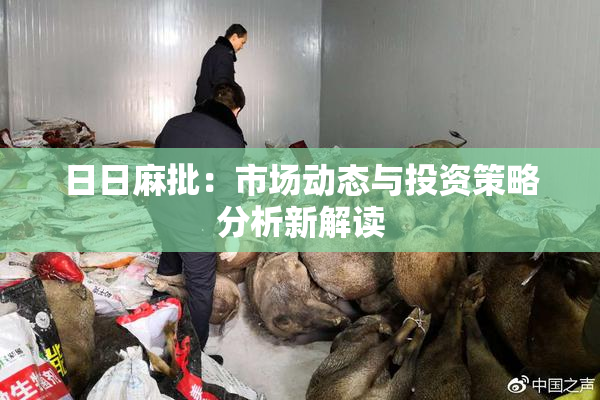 日日麻批：市场动态与投资策略分析新解读