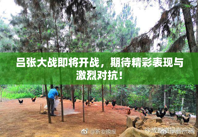 吕张大战即将开战，期待精彩表现与激烈对抗！