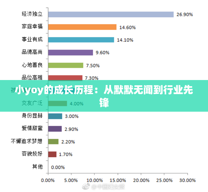 小yoy的成长历程：从默默无闻到行业先锋